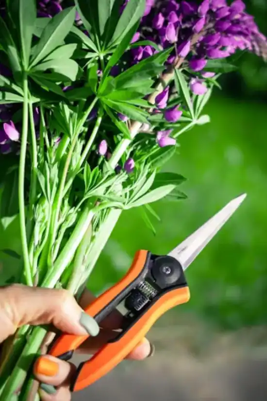 Comment Choisir son Pulvérisateur