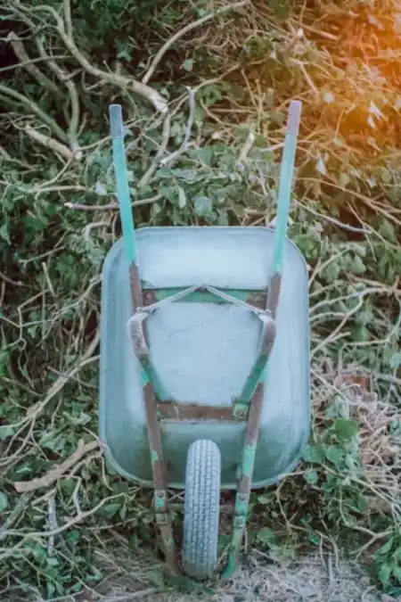 Pulvérisateur Pro 16L Batterie